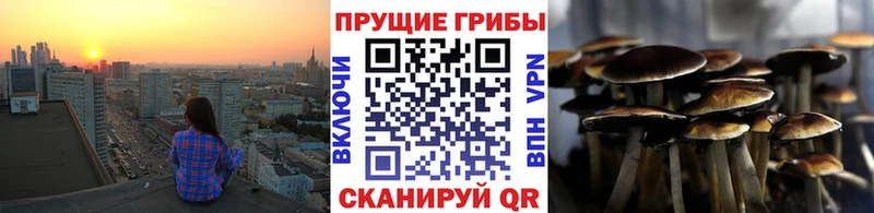 Галлюциногенные грибы мухоморы  где купить наркотик  Бузулук 